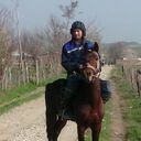 ���������� �����-���������, ���� ������� �������, 36 ���, ������������ ��� ������, ����� � ���������