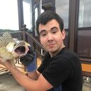  ,   , 29 ,   ,   , c 