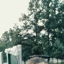 ���������� �����, ���� ������� ����, 29 ���, ������������ 