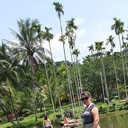  ,   , 51 ,   ,   , c 