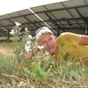 ���������� ���������, ���� ������� ������, 39 ���, ������������ ��� ������, ����� � ���������, c�������� ���������