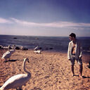 ���������� �����������, ���� ������� ������, 30 ���, ������������ ��� ������, ����� � ���������, c�������� ���������, ���������