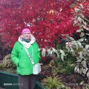  ,   , 66 ,   ,   , c 