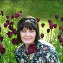  ,   , 44 ,   c , 