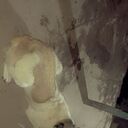 ���������� �������, ���� ������� ������, 42 ����, ������������ ��� ������, ����� � ���������