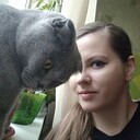 ���������� ����������, ���� ������� �������, 37 ���, ������������ ��� ������, ����� � ���������, c�������� ���������, ���������