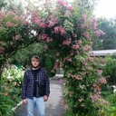 ���������� ����������, ���� ������� ����, 33 ����, ������������ ��� ������, ����� � ���������