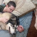 ���������� ���������, ���� ������� �����, 29 ���, ������������ ��� ������, ����� � ���������