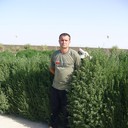  ,   , 50 ,  