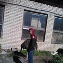 ���������� ��������, ���� ������� Chikago, 33 ����, ������������ ��� ������, ����� � ���������, c�������� ���������, ���������