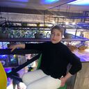   ,   , 51 ,   ,   