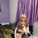 ���������� �����-���������, ���� ������� ����, 55 ���, ������������ ��� ������, ����� � ���������, c�������� ���������