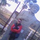  -,   Virus231291, 33 ,   