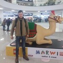 ���������� ����-�����������, ���� ������� ������, 28 ���, ������������ ��� ����� � ���������, c�������� ���������, ���������