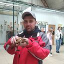 ���������� ����, ���� ������� �������, 38 ���, ������������ ��� ������, ����� � ���������