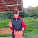 ���������� ����, ���� ������� ����, 53 ����, ������������ ��� c�������� ���������