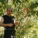 ���������� �������, ���� ������� �����, 54 ����, ������������ ��� ������, ����� � ���������, c�������� ���������