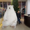 ���������� ������, ���� ������� ����, 48 ���, ������������ ��� ������, ����� � ���������