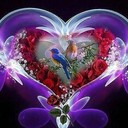  ,   , 32 ,   ,   , c , 