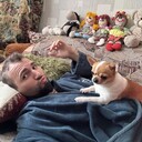 ���������� �����-���������, ���� ������� ������, 31 ���, ������������ ��� ����� � ���������, c�������� ���������