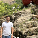 ���������� �����-���������, ���� ������� �����, 31 ���, ������������ ��� ������, ����� � ���������, c�������� ���������