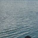 ���������� ����, ���� ������� ��������, 47 ���, ������������ ��� ������, ����� � ���������, c�������� ���������