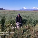  -,   , 44 ,   ,   , c 