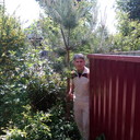  ,   , 80 ,     , c 