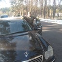 ���������� ����, ���� ������� �i�����, 28 ���, ������������ ��� ������, ����� � ���������, c�������� ���������