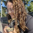 ���������� �������, ���� ������� �������, 24 ����, ������������ ��� ����� � ���������