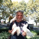 ���������� �����, ���� ������� �����, 58 ���, ������������ ��� ������, ����� � ���������