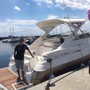 ���������� �����������, ���� ������� ����, 36 ���, ������������ ��� ������, ����� � ���������, c�������� ���������