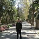 ���������� �����-���������, ���� ������� ����, 44 ����, ������������ ��� ������, ����� � ���������, c�������� ���������, ���������