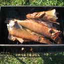 ���������� �������, ���� ������� �������, 40 ���, ������������ ��� ������