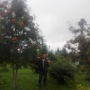 ���������� �����������, ���� ������� ��������, 44 ����, ������������ ��� ������, ����� � ���������, c�������� ���������