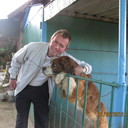 ���������� ����, ���� ������� �������, 62 ����, ������������ ��� ����� � ���������, c�������� ���������