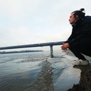 ���������� ����, ���� ������� ����, 36 ���, ������������ ��� ������, ����� � ���������, c�������� ���������