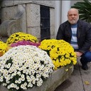  ,   , 66 ,   