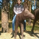 ���������� ����������, ���� ������� ���������, 32 ����, ������������ 