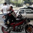 ���������� �������, ���� ������� Gigi, 36 ���, ������������ ��� ������, ����� � ���������, c�������� ���������