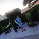 ���������� ������������, ���� ������� ����, 48 ���, ������������ ��� ������, ����� � ���������, c�������� ���������, ���������