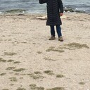 ���������� ��������, ���� ������� ������, 35 ���, ������������ ��� ������, ����� � ���������, c�������� ���������, ���������