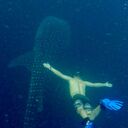 ���������� �����-���������, ���� ������� �����, 43 ����, ������������ ��� ������, ����� � ���������