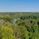 ���������� ������, ���� ������� ����, 38 ���, ������������ ��� ������, ����� � ���������