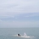 ���������� ����, ���� ������� ������, 27 ���, ������������ ��� ������, ����� � ���������, c�������� ���������, ���������