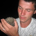 ���������� �������, ���� ������� �������, 40 ���, ������������ ��� ������, ����� � ���������, c�������� ���������, ���������