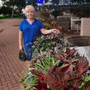 ���������� ��������, ���� ������� �����, 55 ���, ������������ ��� ������, ����� � ���������, c�������� ���������, ���������