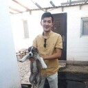 ���������� �����, ���� ������� ����, 27 ���, ������������ ��� ������, ����� � ���������, c�������� ���������