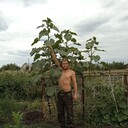 ���������� ������������, ���� ������� ������, 35 ���, ������������ ��� ������, ����� � ���������, c�������� ���������