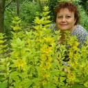 ���������� ������, ���� ������� ����, 55 ���, ������������ ��� ������, ����� � ���������, c�������� ���������